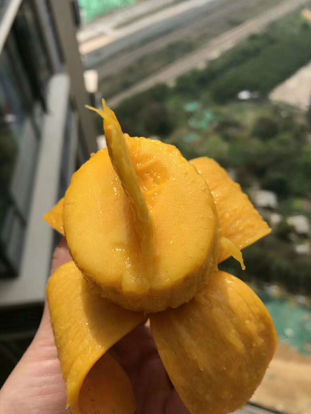 颐和果园 水果产地直发 不囤货 只卖应季水果