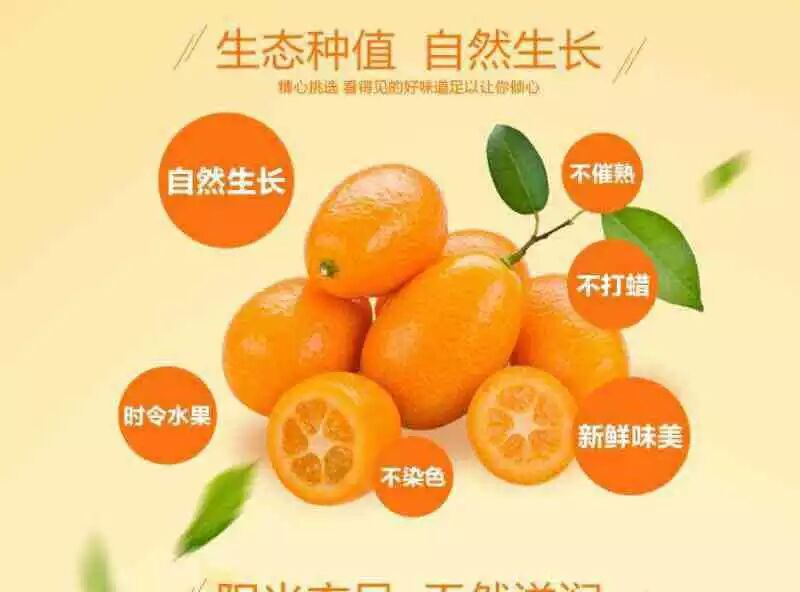 全国各地特产批发零售