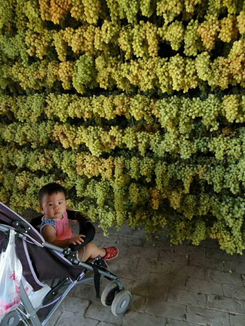 新疆特产吐鲁番葡萄干 纯天然无添加未加工