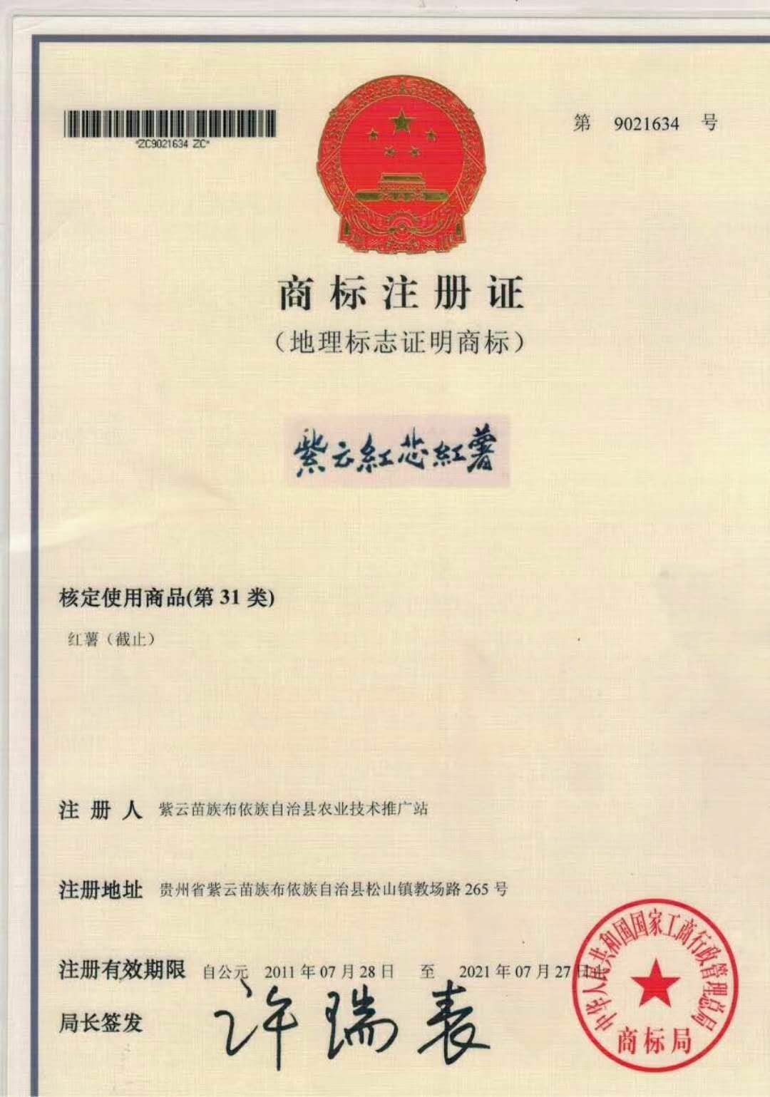 贵州紫云红芯薯