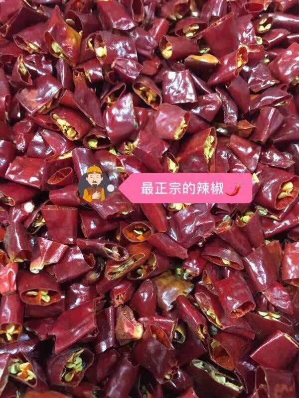 谭八爷，自己做老板的项目