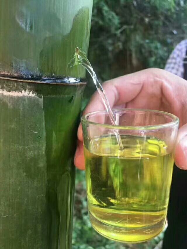 福建特产茂林活竹酒