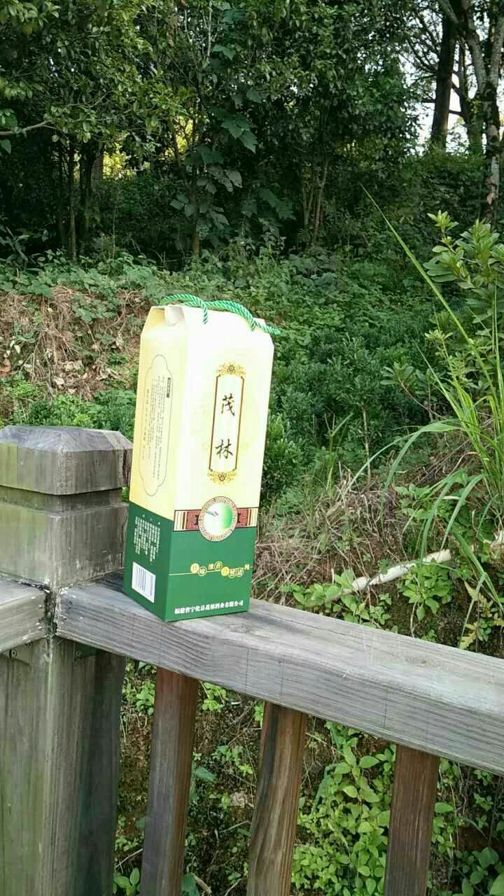 福建特产茂林活竹酒