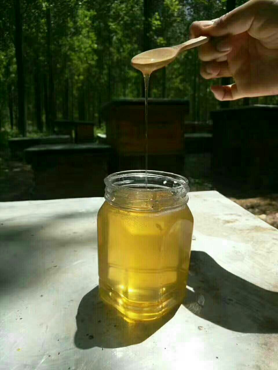 天然蜂蜜 枇杷膏 21年的老蜂场 无水兑现