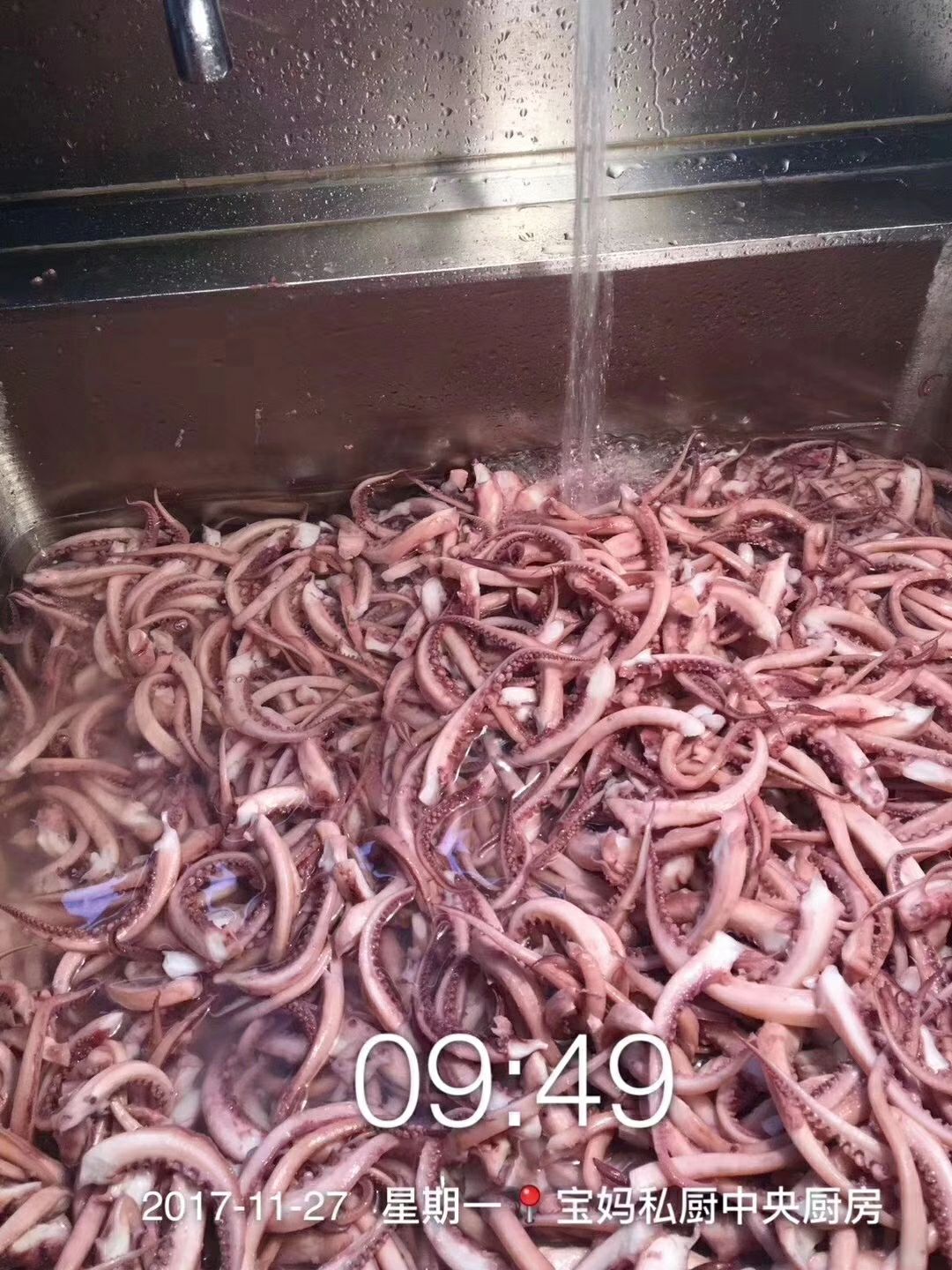 各种小吃，0元招代理，不需要囤货，一件代发