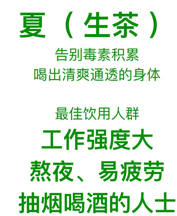 叶雨堂果蔬普洱茶