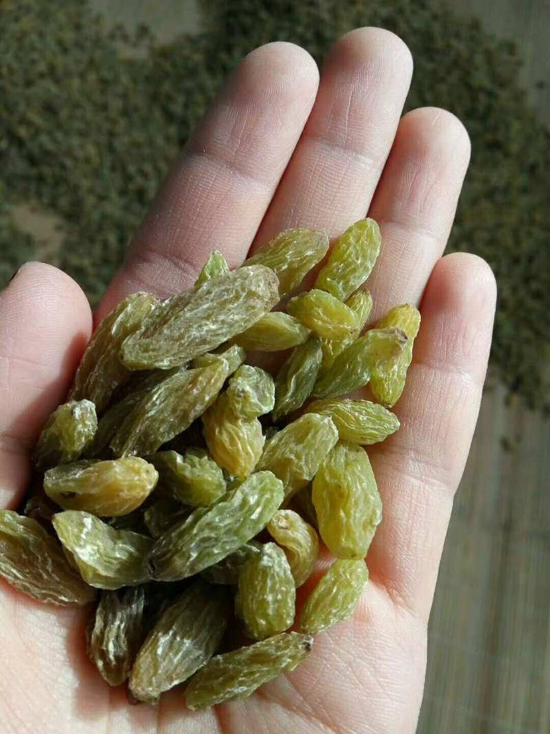 新疆特产吐鲁番葡萄干 纯天然无添加未加工