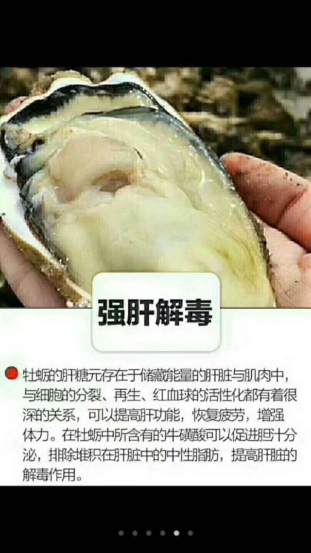 生蚝 牡蛎，养殖场一手货源批发零售