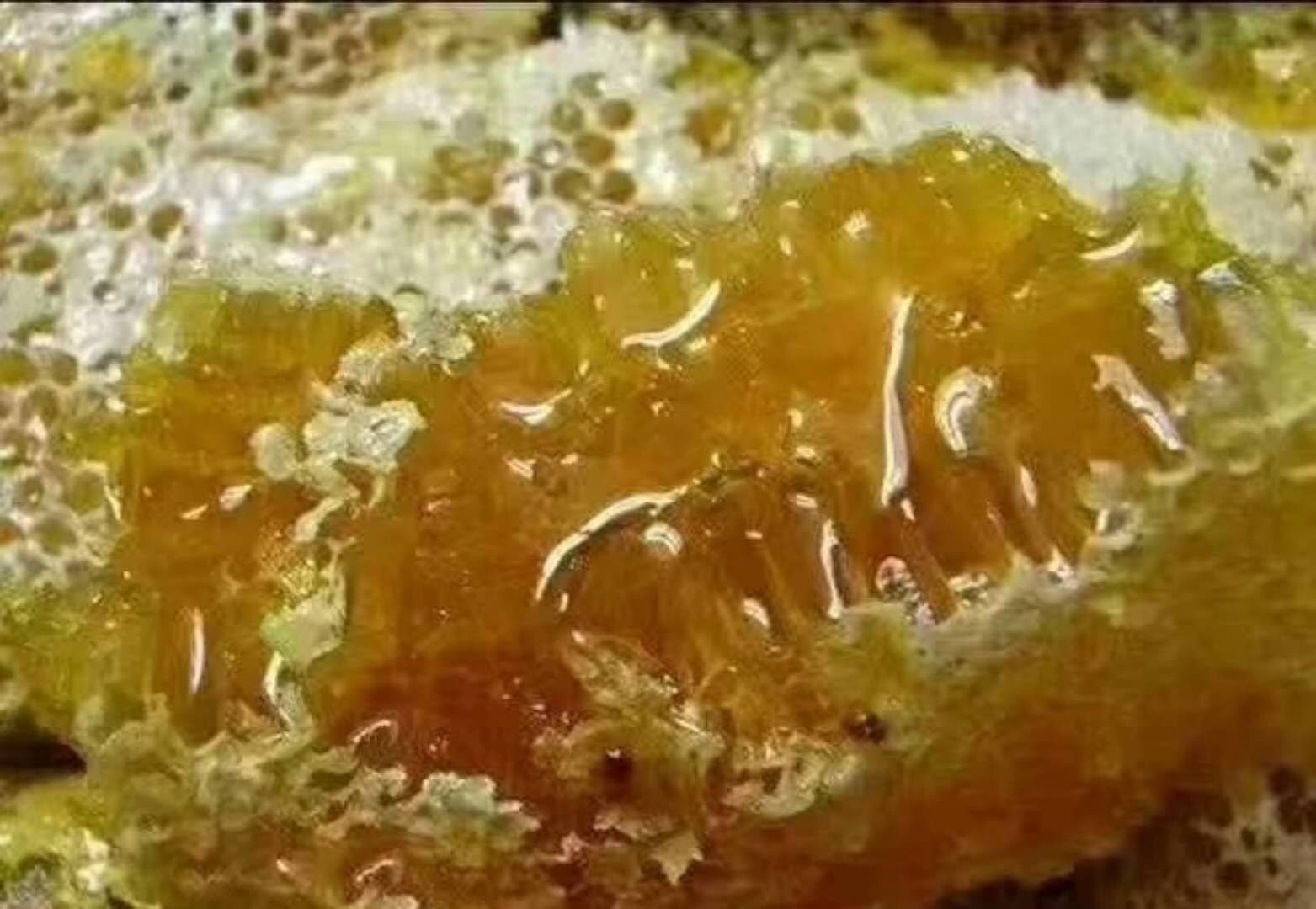 土蜂蜜零售一件代发