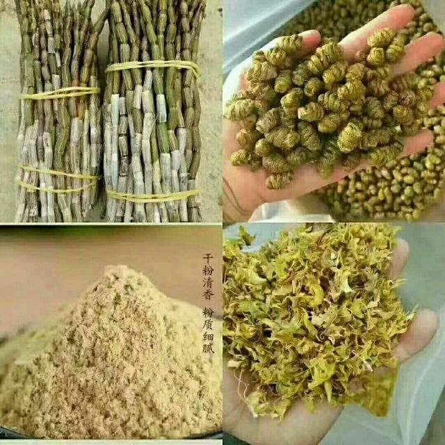 铁皮石斛，有实体店，方便随时发货打包直发，没有中间商