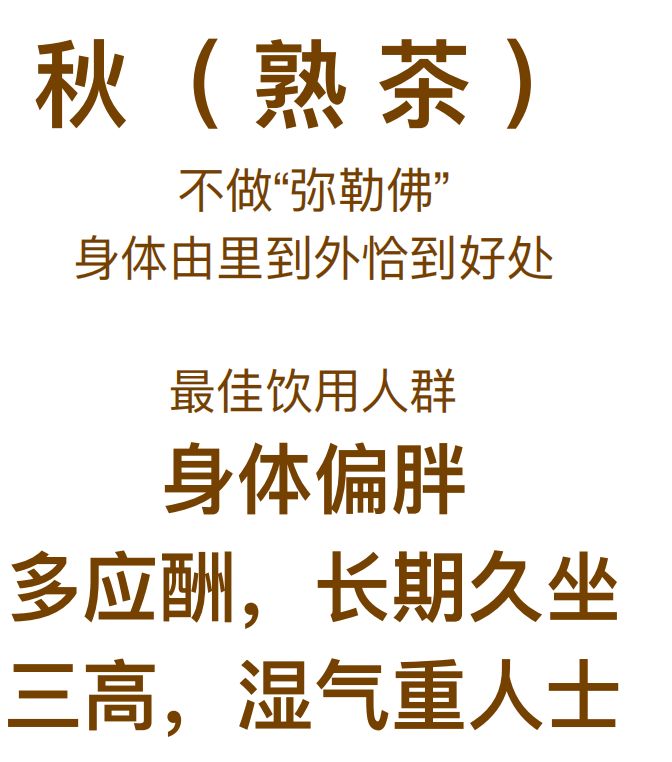 叶雨堂果蔬普洱茶
