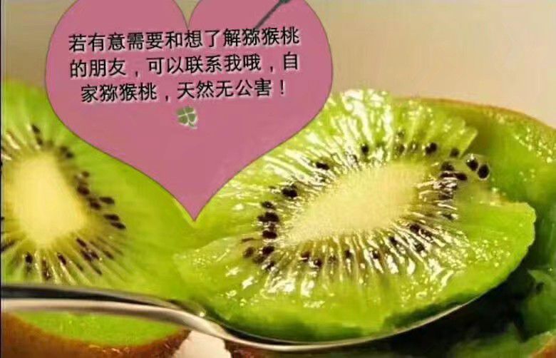 猕猴桃水果货源 零门槛诚招代理 手把手教学 一件代发