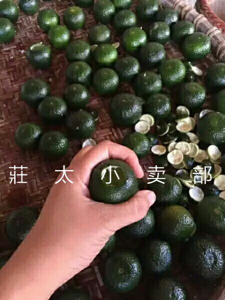 小青柑普洱茶