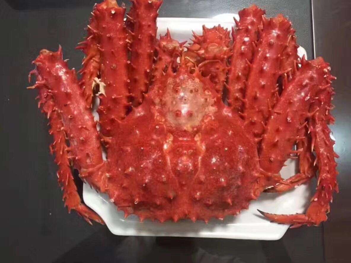 连云港海鲜 自己家鱼船扑捉上来 需要的联系我