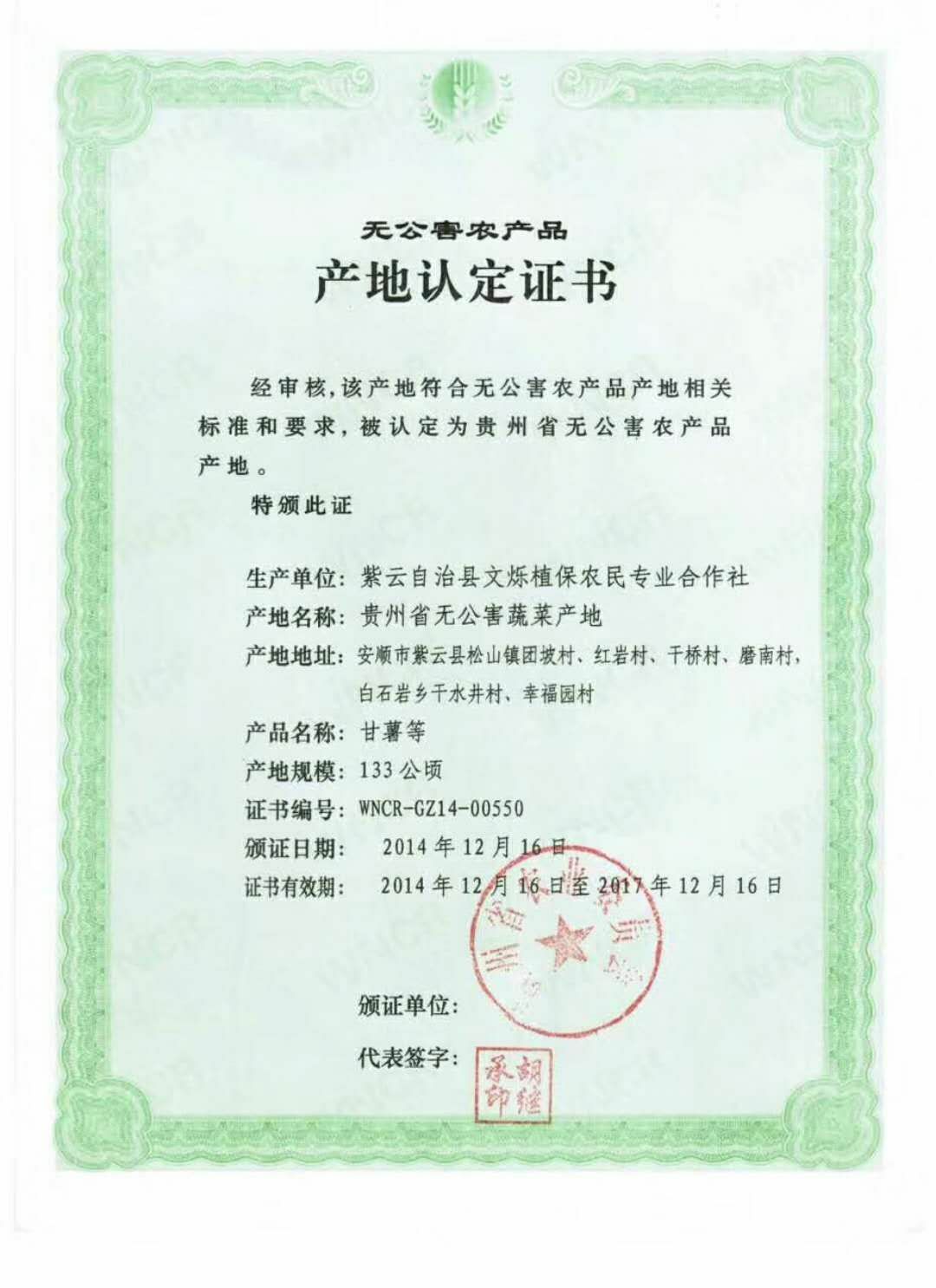 贵州紫云红芯薯
