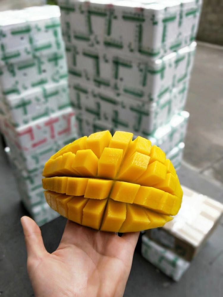 海南热带水果，诚招代理