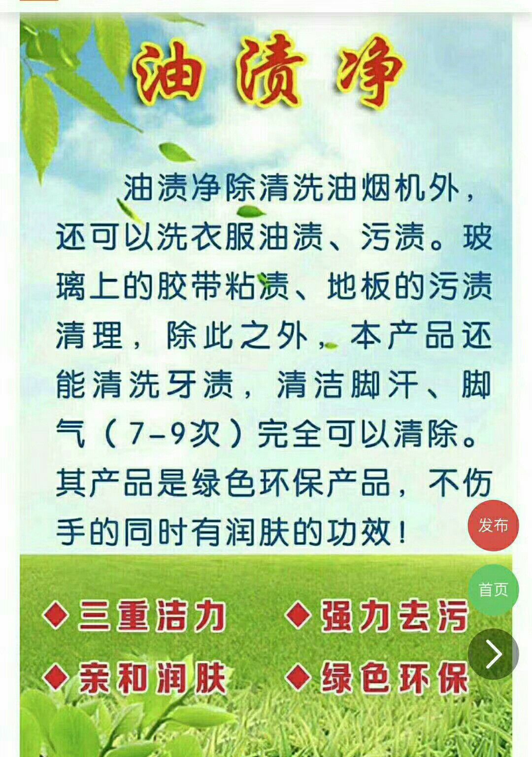 艳兰牌油渍净