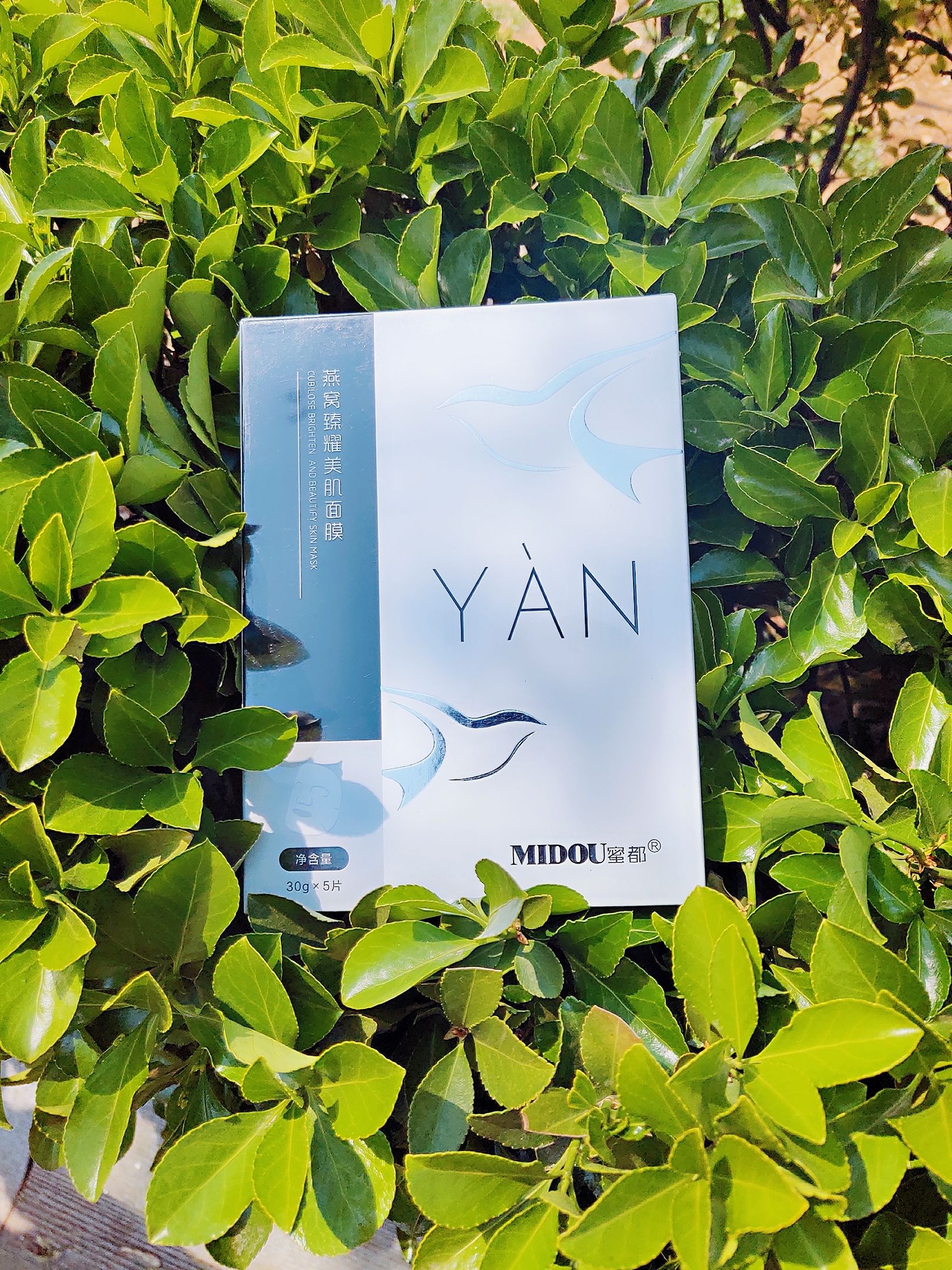 蜜都燕窝面膜 卖不出包退 一箱纯利润在500左右