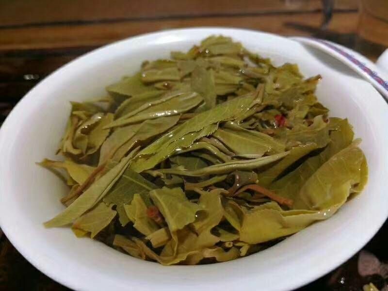 云南西双版纳印象古树普洱