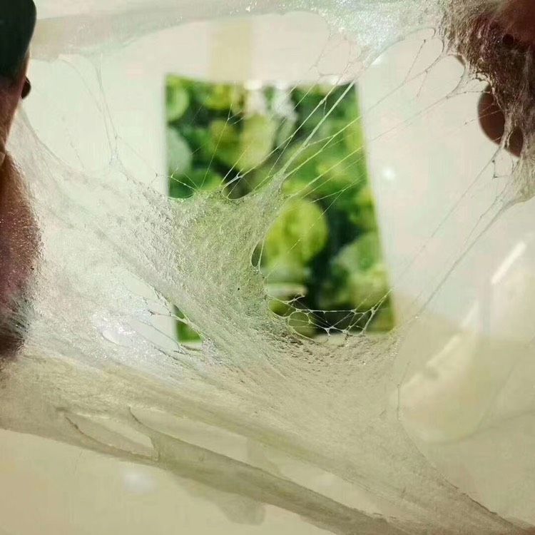 溪秀小绿盒面膜 补水，去痘 特别好用