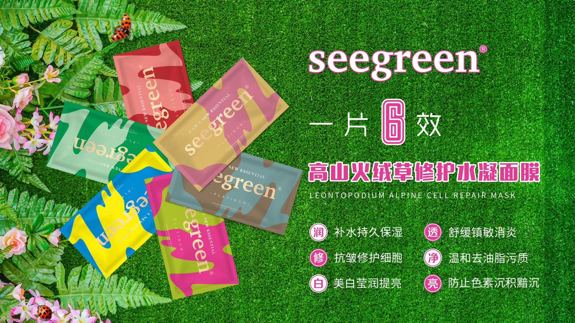 seegreen香港时闰