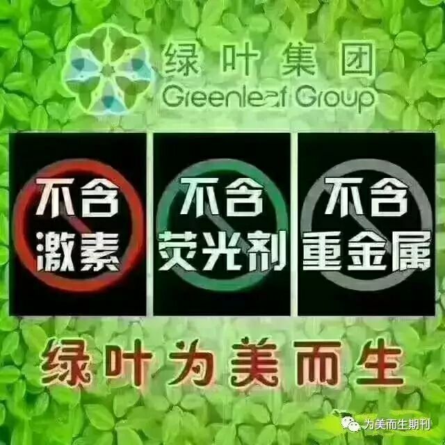 绿叶 爱生活