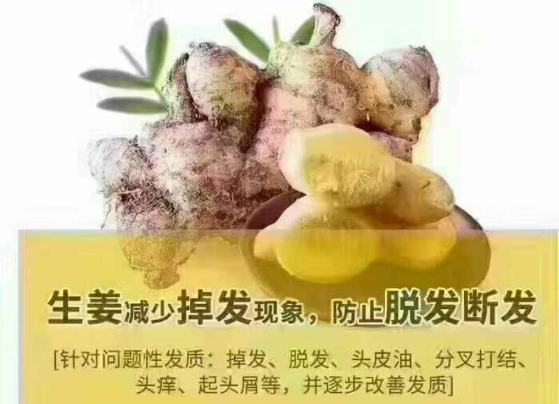 么尚纯姜洗发水