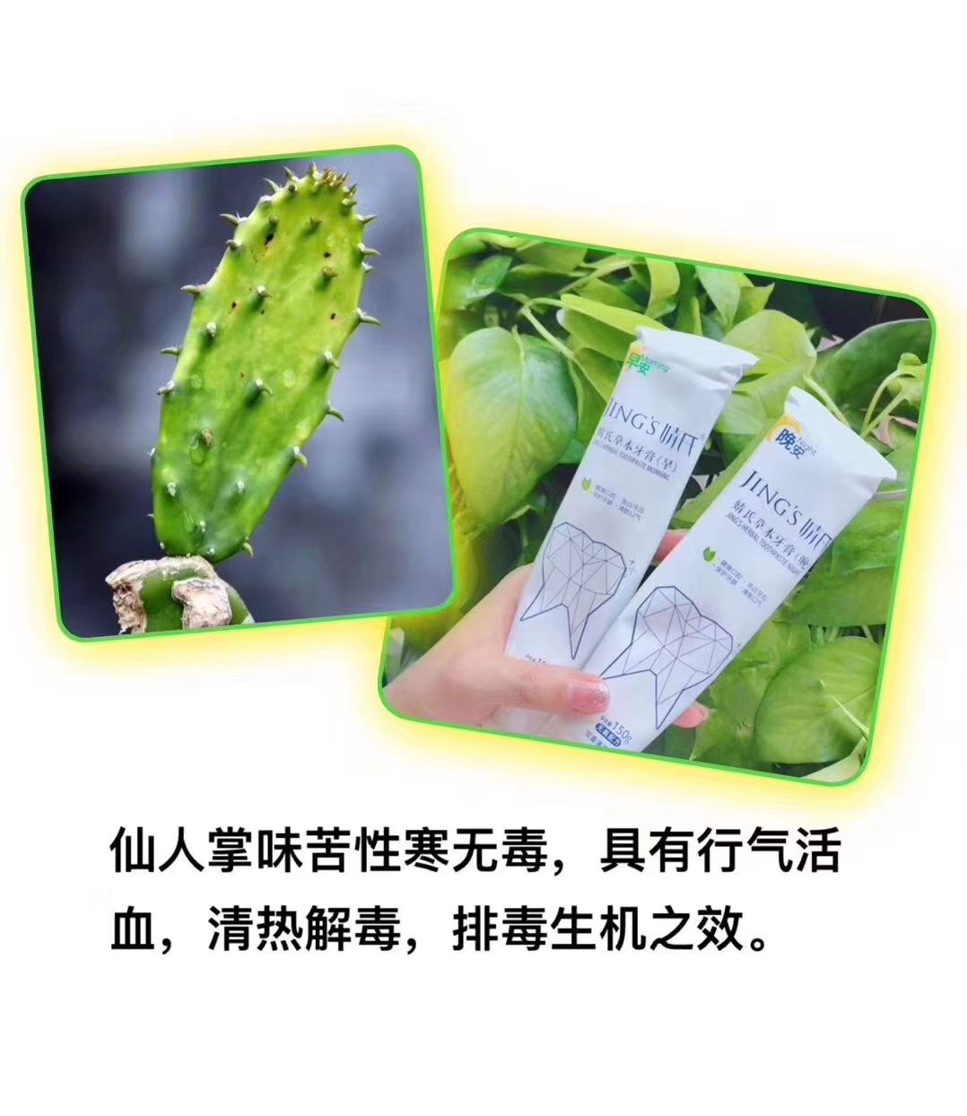 婧氏草本牙膏，给你不一样的体验
