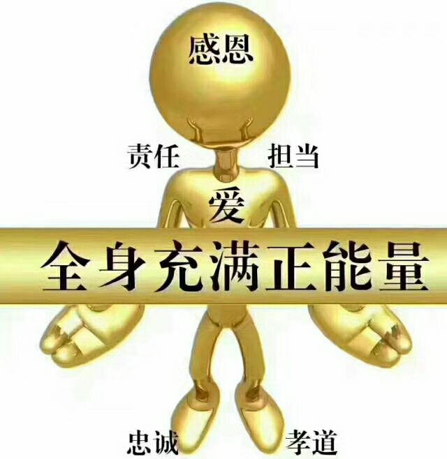绿叶 爱生活