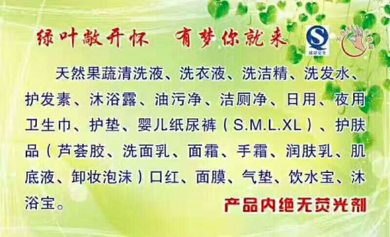 绿叶 爱生活