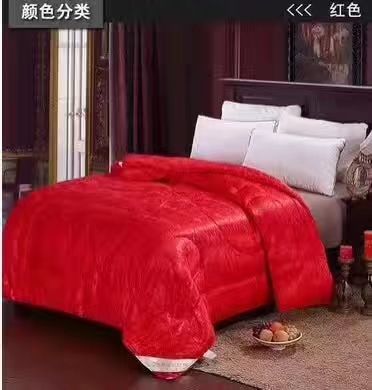 蚕丝被招代理 十床起批 支持一件代发 现货供应
