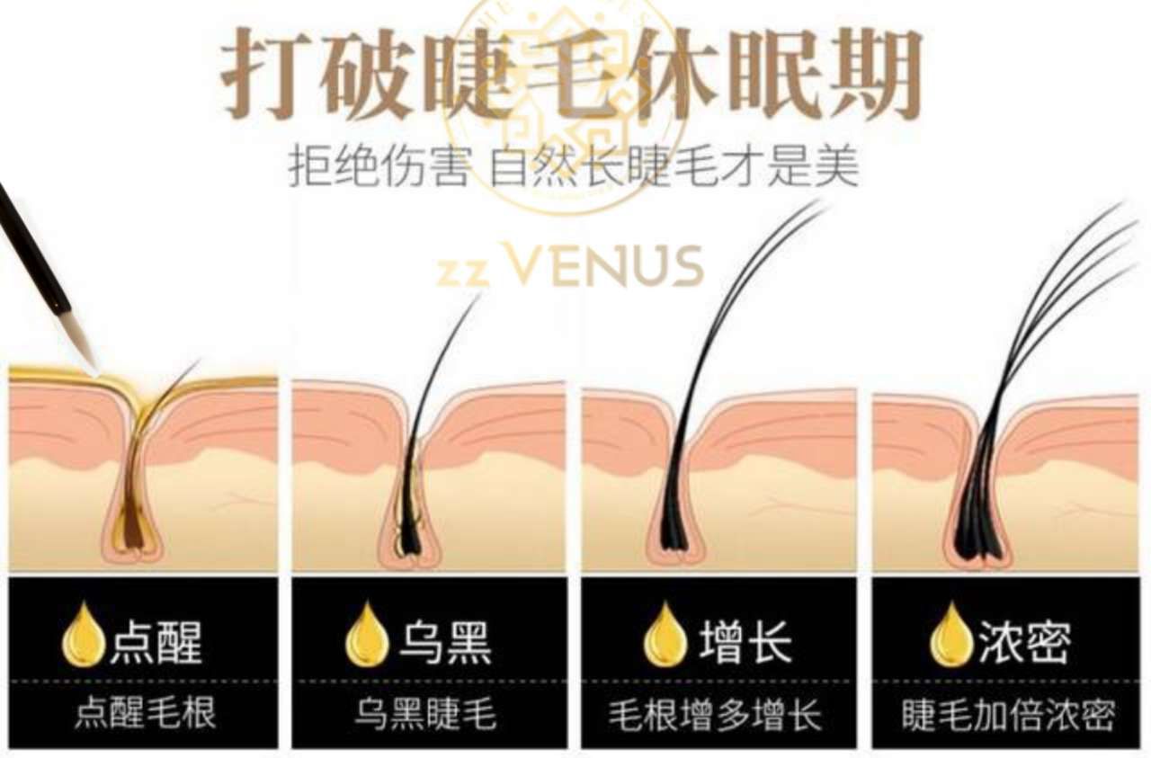 zz venus至尊维纳斯小金瓶眉睫毛精华增长液招代理
