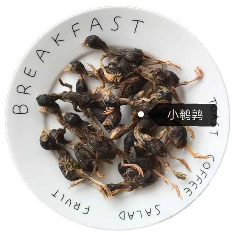宠物零食主食冻干