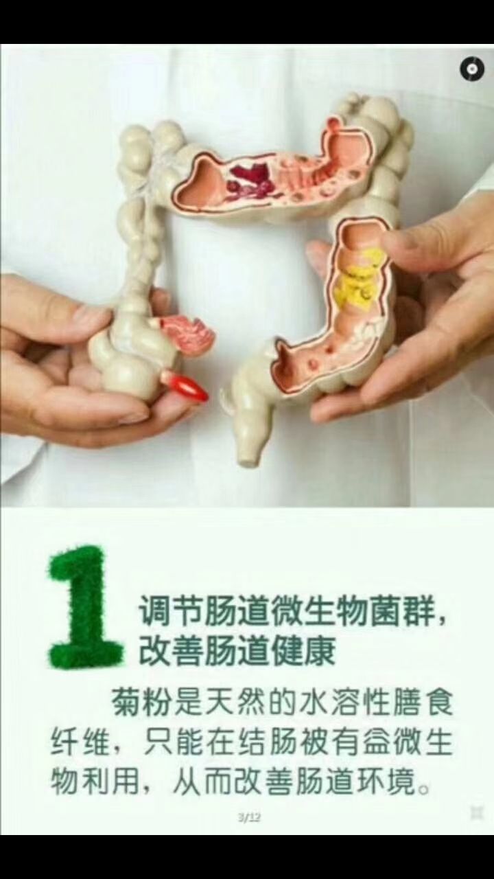 维乐夫菊粉免费招代理