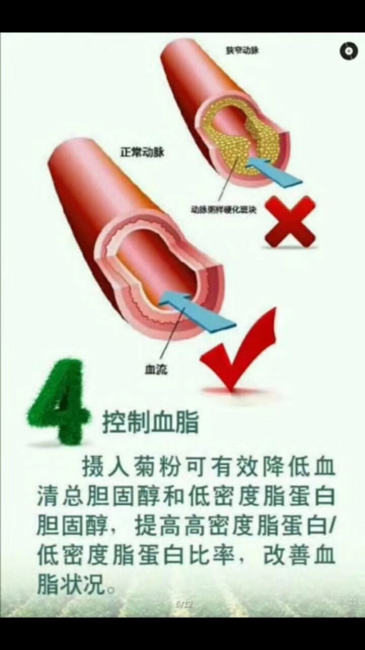 维乐夫菊粉免费招代理