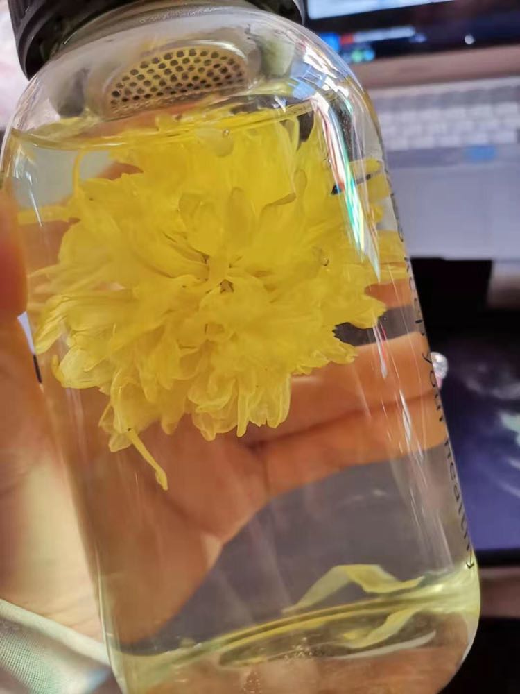 黄金蕊菊花茶 纯天然的花茶