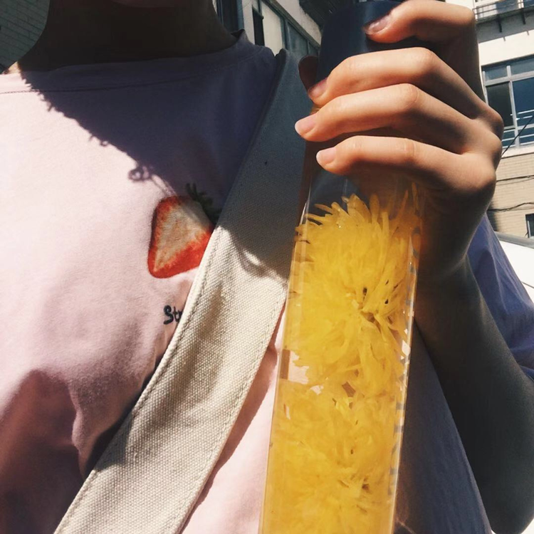 黄金蕊菊花茶 纯天然的花茶