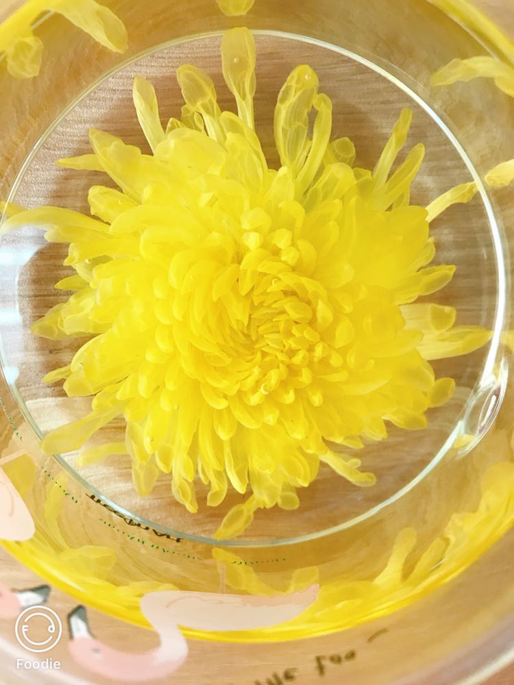 黄金蕊菊花茶 纯天然的花茶