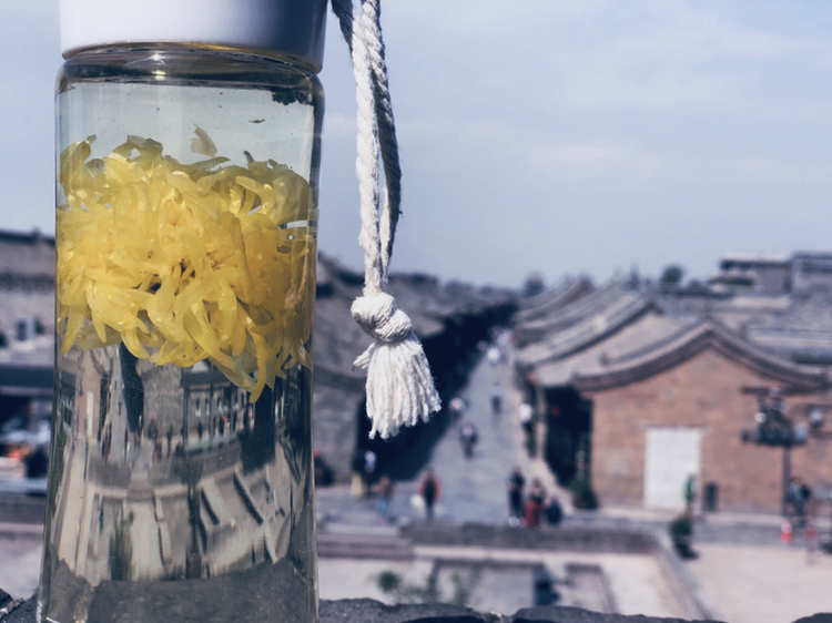 黄金蕊菊花茶 纯天然的花茶