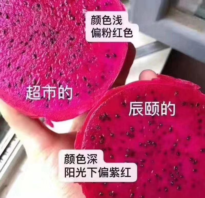 辰颐物语 水果基地直发纯天然水果