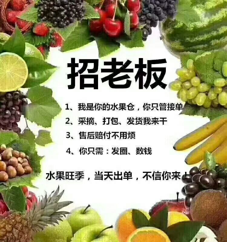颐和果园招代理