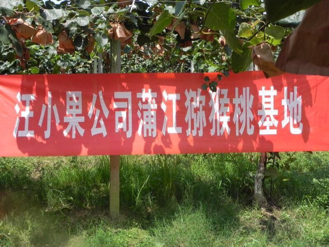 产地直发～水果特产零食铺