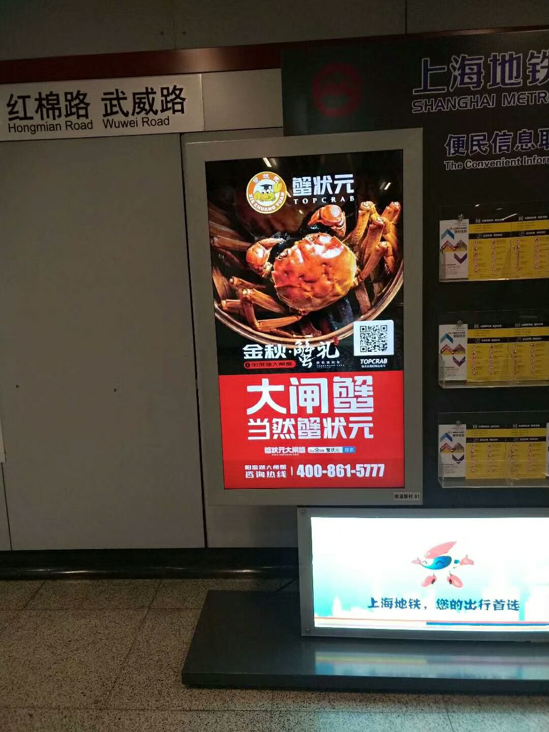 阳澄湖大闸蟹招分销代理