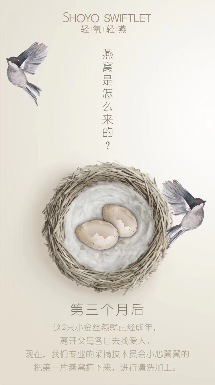 轻氧轻燕即食燕窝