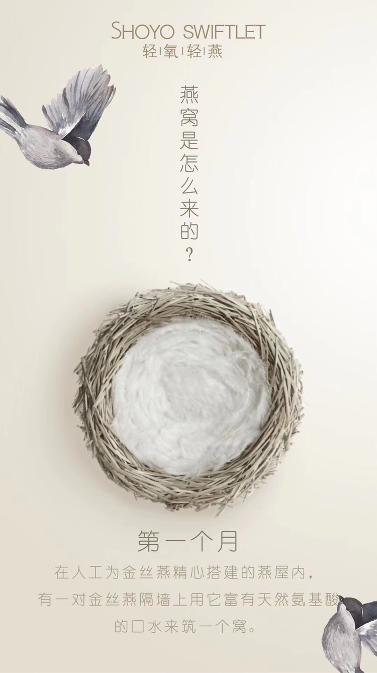 轻氧轻燕即食燕窝
