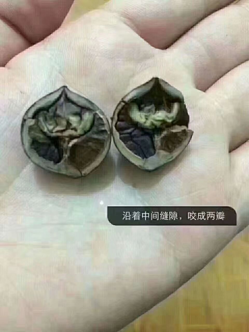 临安特产野生小山核桃 招代理 支持代发