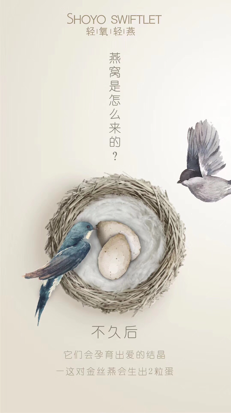 轻氧轻燕即食燕窝