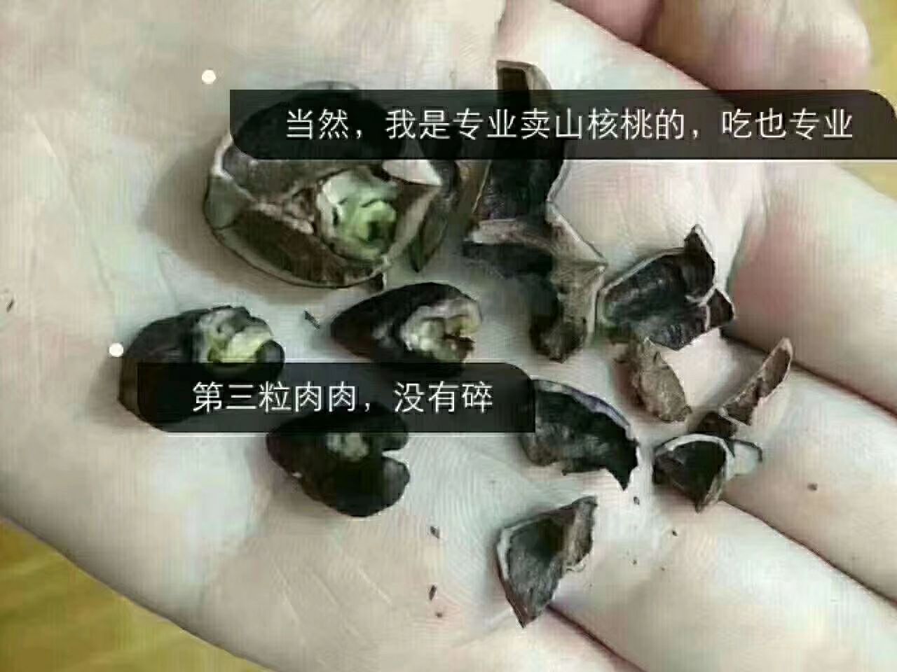 临安特产野生小山核桃 招代理 支持代发