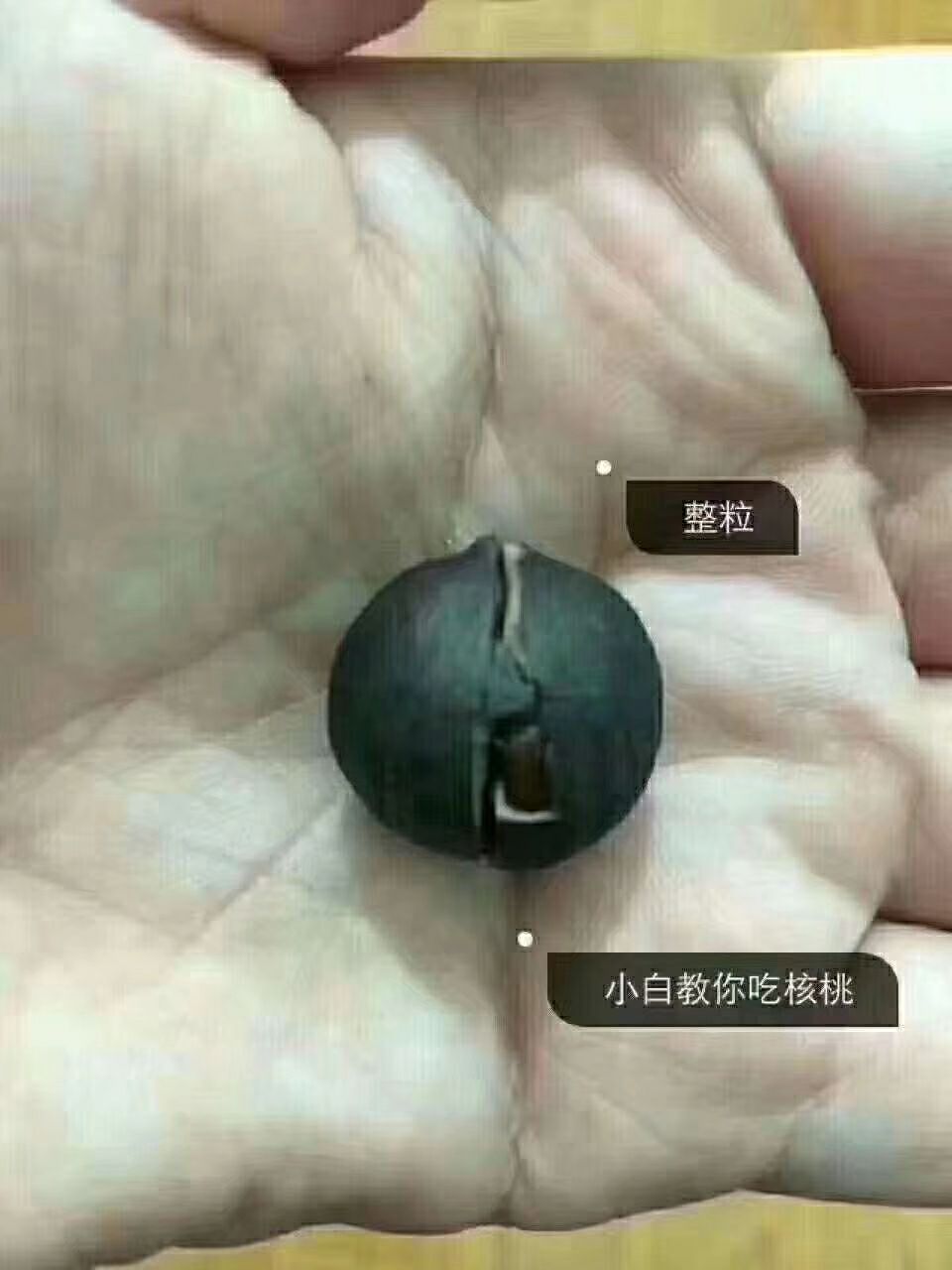 临安特产野生小山核桃 招代理 支持代发