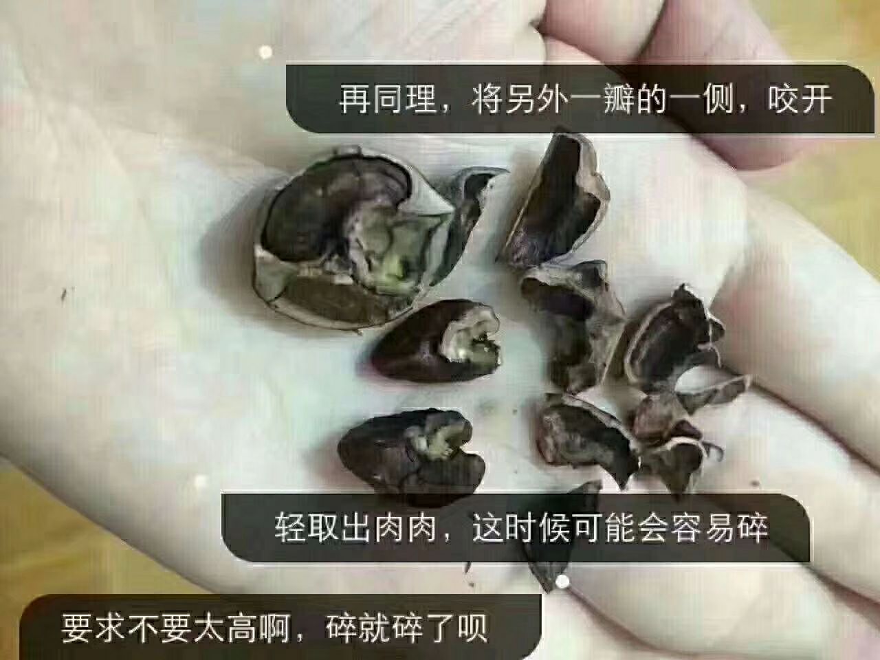 临安特产野生小山核桃 招代理 支持代发